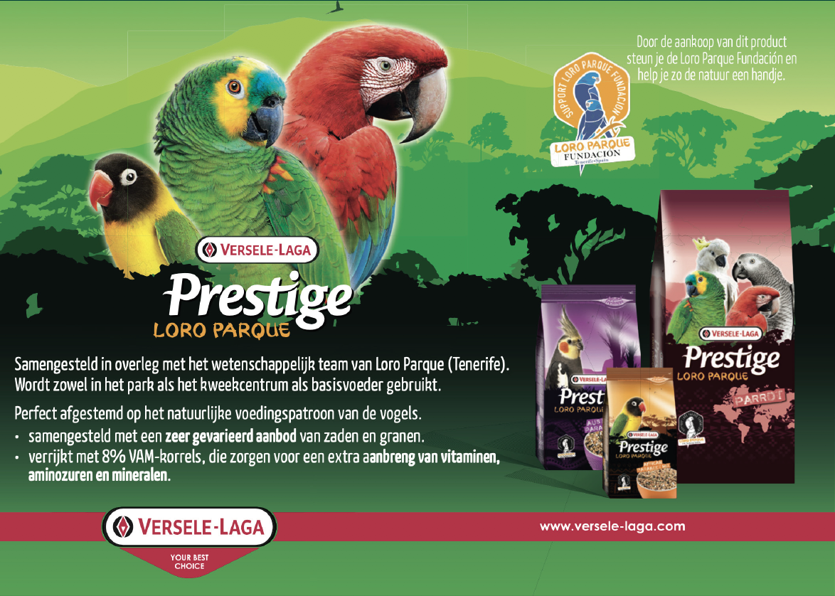 Versele_Laga