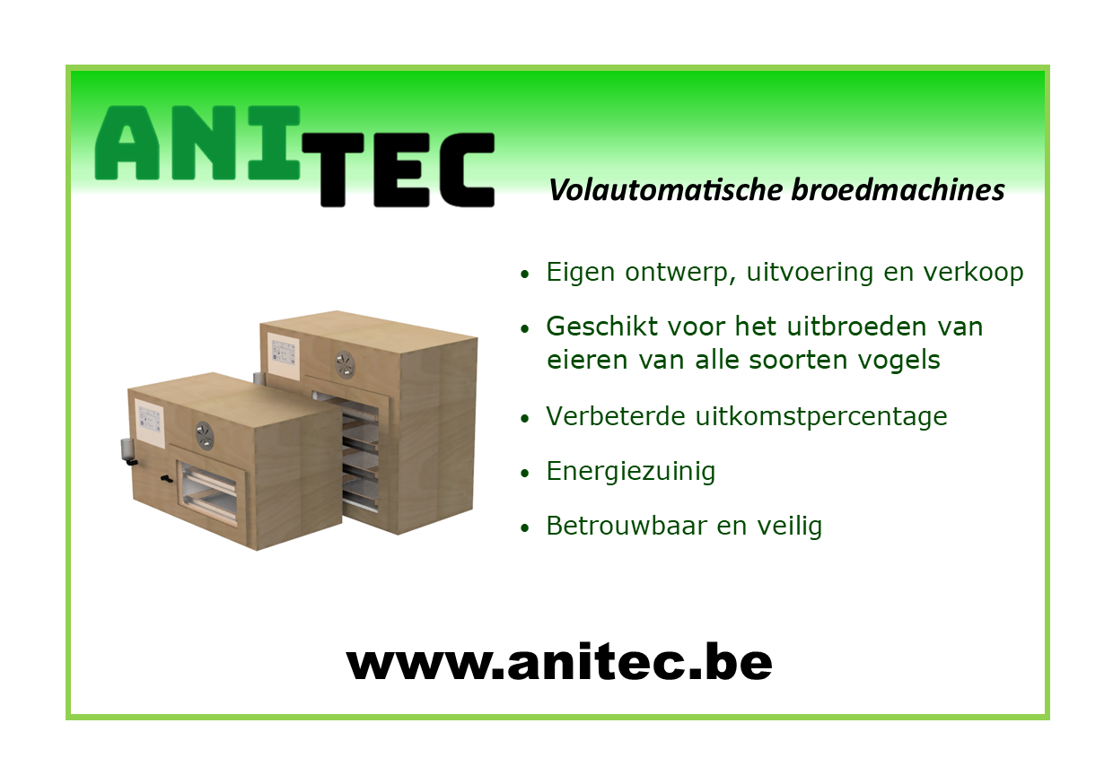 anitec_advertentie