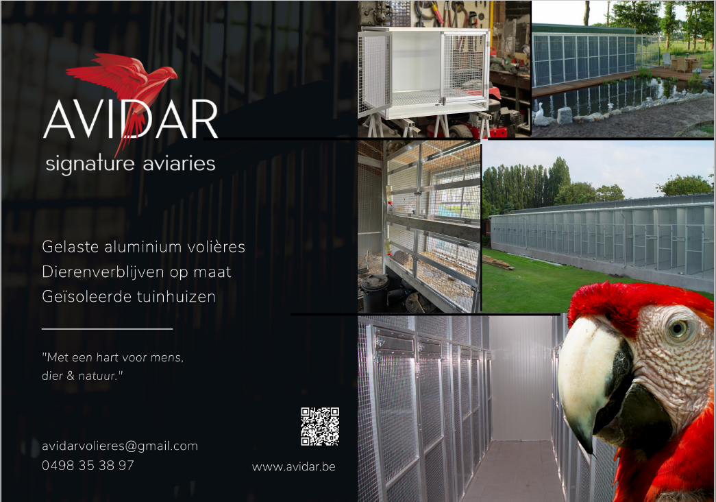 avidar