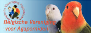 banner_Agapomiden