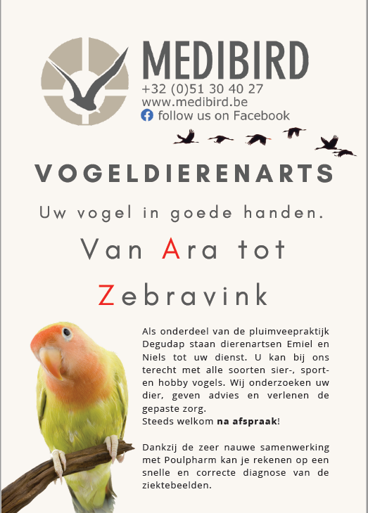 medibird