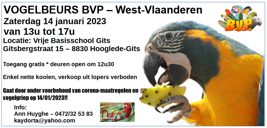 Tweede Nieuws artikel
